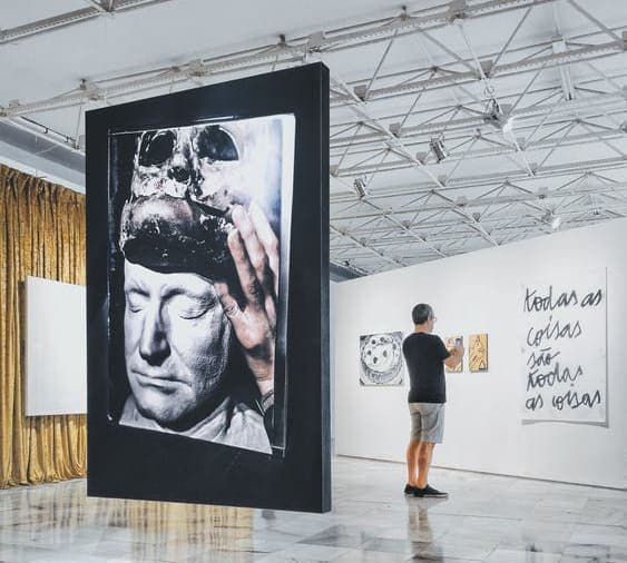 pexels photo 2372925 